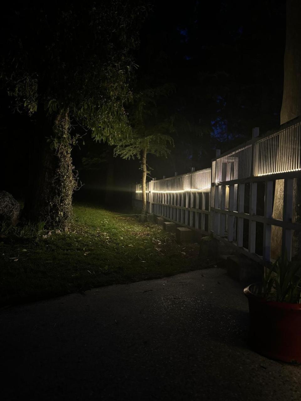 Nathia Gali Pine Ridge Cottages מראה חיצוני תמונה